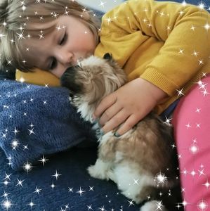 Meet your Posher, Alison